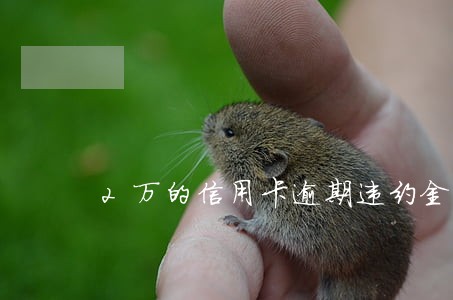 2万的信用卡逾期违约金多少 2万的信用卡逾期违约金多少