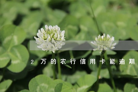 2万的农行信用卡能逾期多久 2万的农行信用卡能逾期多久