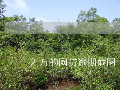 2万的网贷逾期截图 2万的网贷逾期截图