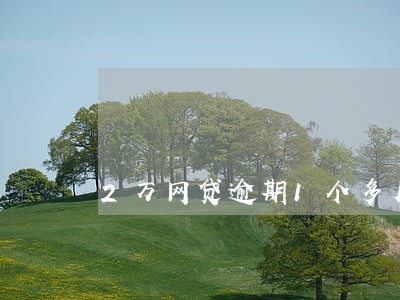 2万网贷逾期1个多月
