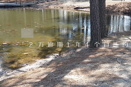 2万逾期1年4个月违约金多少 2万逾期1年4个月违约金多少