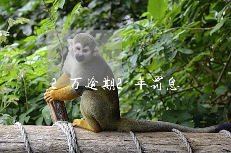 2万逾期2年罚息 2万逾期2年罚息