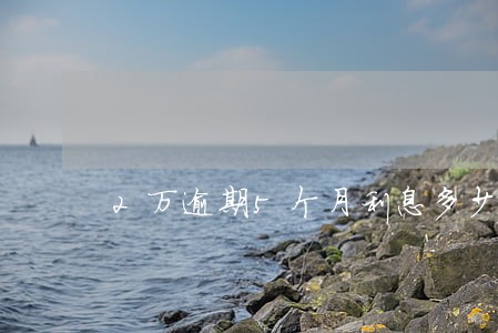 2万逾期5个月利息多少