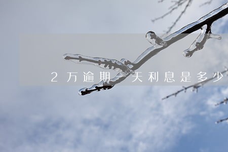 2万逾期一天利息是多少 2万逾期一天利息是多少