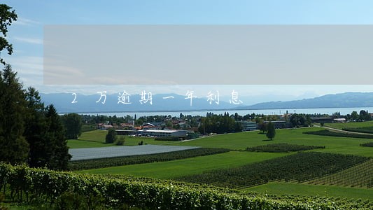 2万逾期一年利息 2万逾期一年利息