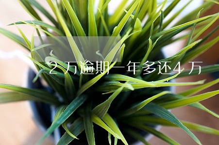 2万逾期一年多还4万
