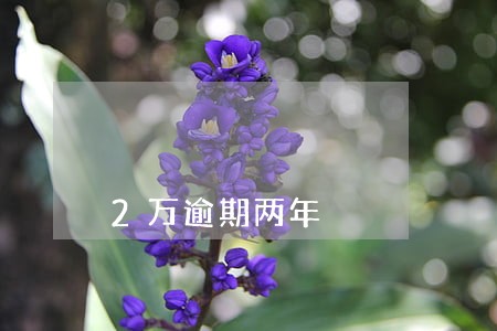 2万逾期两年 2万逾期两年