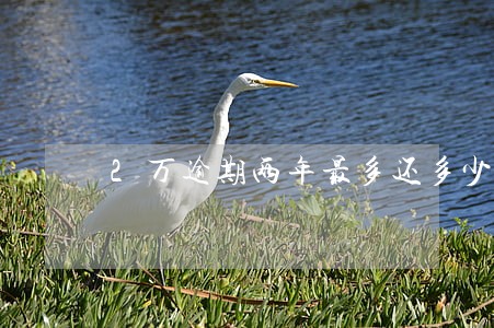 2万逾期两年最多还多少 2万逾期两年最多还多少