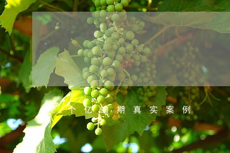 2个亿逾期真实案例 2个亿逾期真实案例