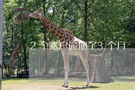 2个账户逾期了3个月 2个账户逾期了3个月