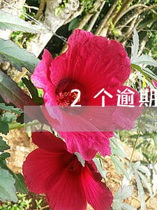 2个逾期3天的会上征信吗 2个逾期3天的会上征信吗