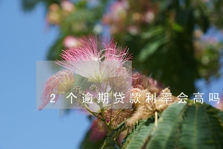 2个逾期贷款利率会高吗 2个逾期贷款利率会高吗