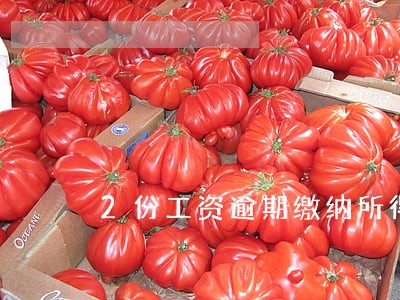 2份工资逾期缴纳所得税 2份工资逾期缴纳所得税