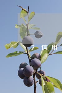 2信用卡逾期日期表 2信用卡逾期日期表