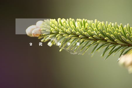 2元逾期半年 2元逾期半年