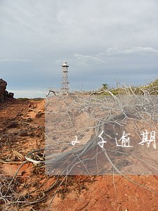 2千逾期罚息一天多少 2千逾期罚息一天多少