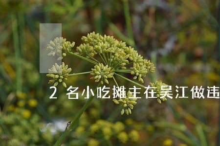 2名小吃摊主在吴江做违法生意 2名小吃摊主在吴江做违法生意