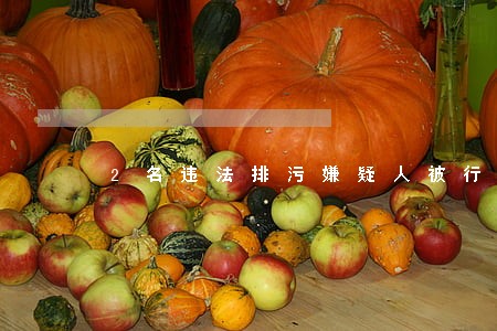 2名违法排污嫌疑人被行拘 2名违法排污嫌疑人被行拘