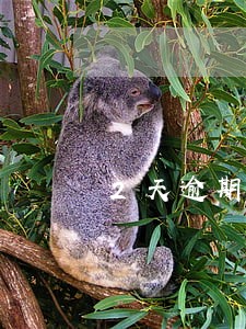 2天逾期一天能贷款不 2天逾期一天能贷款不