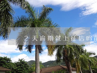 2天逾期就上征信吗能消除吗 2天逾期就上征信吗能消除吗