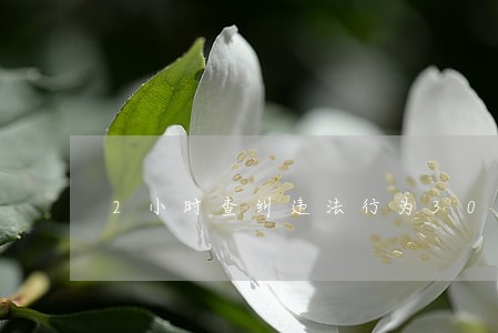 2小时查纠违法行为300余起 2小时查纠违法行为300余起