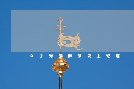 2小米逾期多久上征信 2小米逾期多久上征信