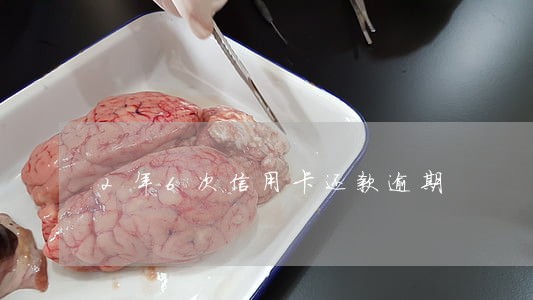 2年6次信用卡还款逾期 2年6次信用卡还款逾期