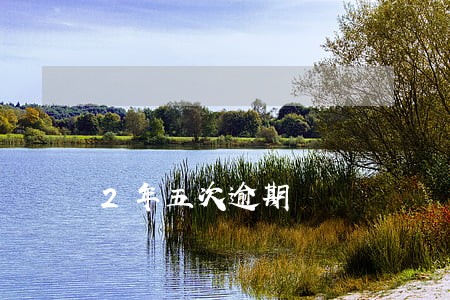 2年五次逾期 2年五次逾期