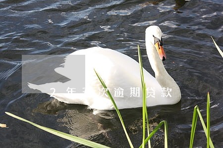 2年五次逾期贷款 2年五次逾期贷款