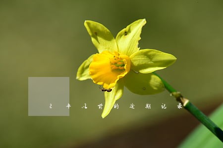 2年以前的逾期记录 2年以前的逾期记录