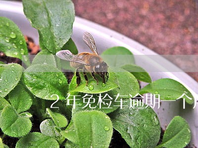 2年免检车逾期一个月要罚款吗 2年免检车逾期一个月要罚款吗