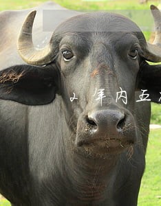 2年内五次逾期能贷款吗 2年内五次逾期能贷款吗