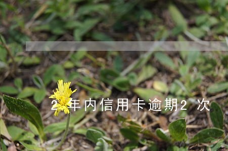 2年内信用卡逾期2次 2年内信用卡逾期2次