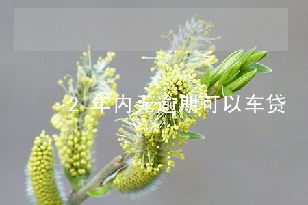 2年内无逾期可以车贷 2年内无逾期可以车贷