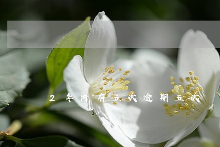 2年内有五次逾期五次 2年内有五次逾期五次