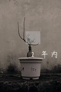 2年内连续逾期 2年内连续逾期