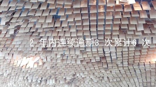 2年内连续逾期3次累计6次 2年内连续逾期3次累计6次