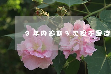 2年内逾期3次但不是连续的 2年内逾期3次但不是连续的
