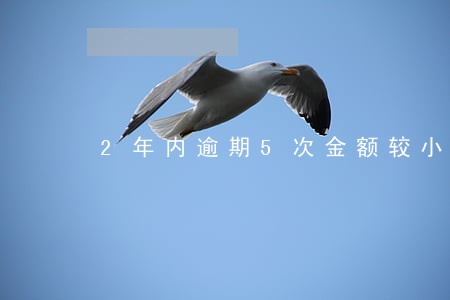 2年内逾期5次金额较小 2年内逾期5次金额较小