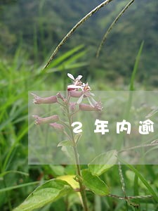 2年内逾期6次能买房吗 2年内逾期6次能买房吗