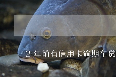 2年前有信用卡逾期车贷能过吗 2年前有信用卡逾期车贷能过吗