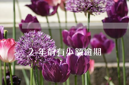 2年前有小额逾期 2年前有小额逾期