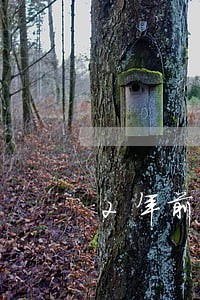 2年前有过网贷逾期查不到 2年前有过网贷逾期查不到