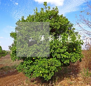 2年前有逾期信用卡还能办吗 2年前有逾期信用卡还能办吗