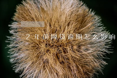 2年前网贷逾期怎么影响车贷 2年前网贷逾期怎么影响车贷