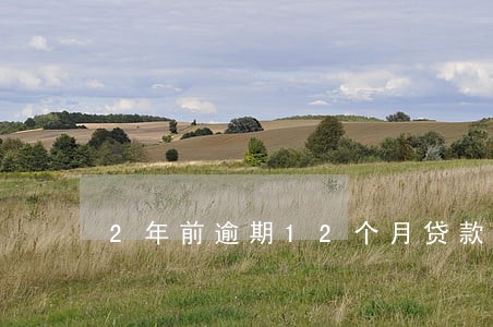 2年前逾期12个月贷款利率 2年前逾期12个月贷款利率
