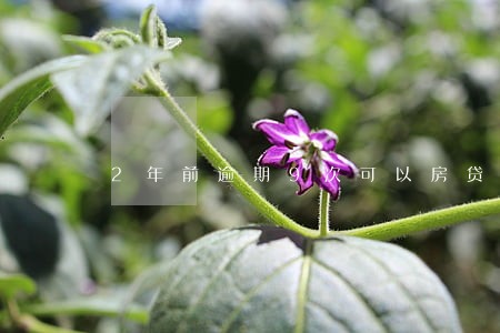 2年前逾期9次可以房贷吗