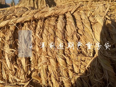 2年前逾期严重房贷 2年前逾期严重房贷