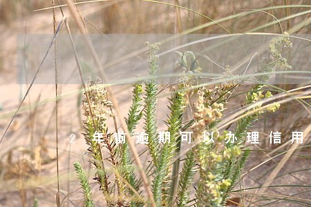 2年前逾期可以办理信用卡吗