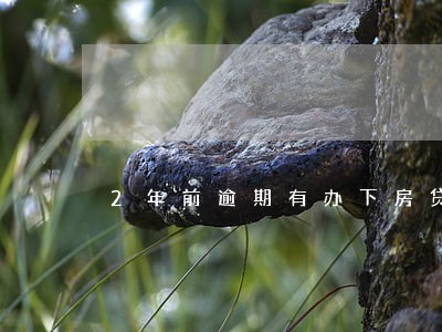 2年前逾期有办下房贷的人吗